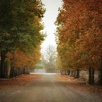 ویلا پیشنهادی 3